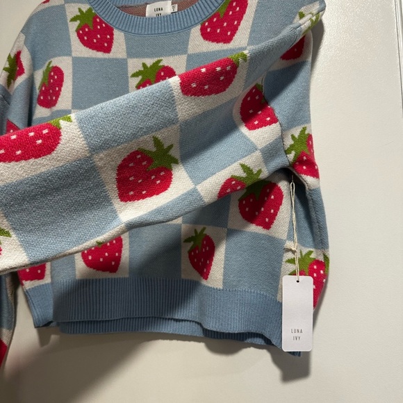 NWT Luna Ivy Anthropologie Strawberry and Blue Checker. Crew Neck Oversized Sm - Picture 9 of 16